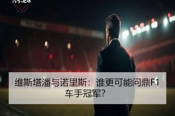 维斯塔潘与诺里斯：谁更可能问鼎F1车手冠军？